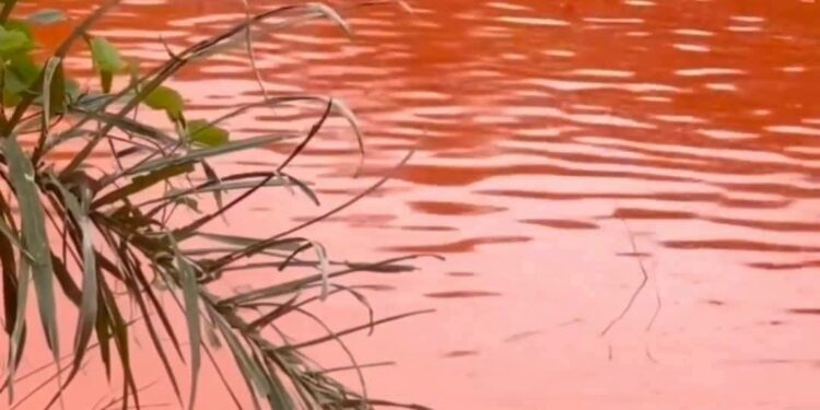 Cross River Residents Scoop Free Red Oil After Tanker Spills Load