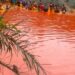 Cross River Residents Scoop Free Red Oil After Tanker Spills Load