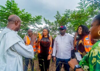 NEMA, SEMA, Awka South Mayor Call for Calm as Probe Intensifies