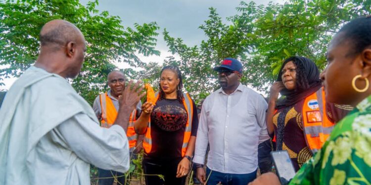 NEMA, SEMA, Awka South Mayor Call for Calm as Probe Intensifies