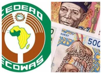 JUST IN: ECOWAS Sets 2027 Target For ECO Currency