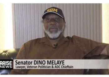Osun Has Shown That Mobilisation Alone Can’t Win Elections- Dino