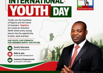Nwoye Demands Meaningful Opportunities for Nigerian Youths