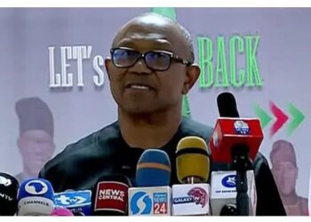 JUST IN: I’ll Speak to Nigerians Daily, Weekly, Monthly” — Peter Obi