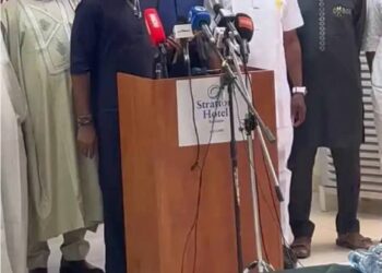 Aniekwe appointed to head strategic gas licence investigation